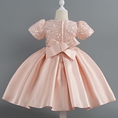 abordables Robes de fête-Tout-petit Fille Robe de Soirée Paillettes Manche Courte Mariage Soirée Paillettes Fermeture éclair Noeud de cravate Actif Adorable Polyester Mi-long Robe de Soirée Été Printemps Automne 4-7 ans