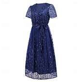 preiswerte Teelänge-A-Linie Kleid Brautmutterkleid Elegant V Ausschnitt Bodenlang Spitze Kurzarm mit Schärpe / Band Falten 2025