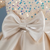 abordables Robes de fête-Tout-petit Fille Robe de Soirée Paillettes Manche Courte Mariage Soirée Paillettes Fermeture éclair Noeud de cravate Actif Adorable Polyester Mi-long Robe de Soirée Été Printemps Automne 4-7 ans