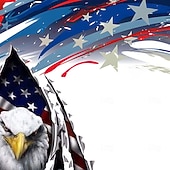 Недорогие Печать флага-День независимости Муж. Орел Флаг США Патриот Шорты с подкладкой Плавки 2 в 1 Купальные шорты Нормальная Гавайский Праздники Боковые карманы С компрессионным вкладышем Эластичный шнурок на талии