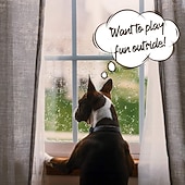 abordables Paraguas-Paraguas para perros pequeños, correa transparente para paraguas, impermeable, paraguas para pasear perros con cadena de metal, equipo de lluvia para exteriores para mascotas.