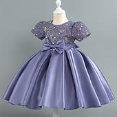 abordables Robes de fête-Tout-petit Fille Robe de Soirée Paillettes Manche Courte Mariage Soirée Paillettes Fermeture éclair Noeud de cravate Actif Adorable Polyester Mi-long Robe de Soirée Été Printemps Automne 4-7 ans