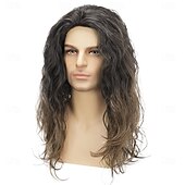 abordables Perruques historiques-Perruques synthétiques pour hommes, cheveux longs, bouclés et duveteux, idéales pour un usage quotidien, une fête ou un costume d&#039;Halloween.