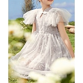 cheap Dresses-Kids Girls&#039; Dress Flower Short Sleeve Outdoor Ruched Mesh Fashion Adorable Nylon Knee-length Casual Dress Tulle Dress Floral Dress Summer 4 years+ Purple