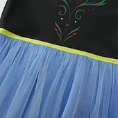 abordables Disfraces de niñas-Frozen Cuento de Hadas Princesa Anna Vestido de niña de las flores Disfraz de fiesta temática Vestidos de tul Cosplay Cosplay de película for Chica Niños Carnaval Mascarada Fiesta