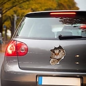 Недорогие Стикеры на стену-6 шт. 3D наклейки на стену кошки самоклеящиеся наклейки на стену/съемные виниловые художественные фрески для гостиной спальни туалета дома настенное украшение своими руками