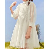 cheap Dresses-Kids Girls&#039; Dress Solid Color Long Sleeve Outdoor Ruched Mesh Adorable Nylon Knee-length Casual Dress Summer 4 years+ Beige