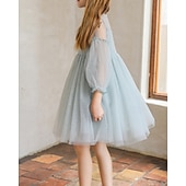 abordables Robes-Enfants Fille Robe Couleur Unie Manche 3/4 Extérieur Maille Adorable Coton Mi-long Robe Décontractée Robe en Tulle Été 4 ans et + Bleu Ciel