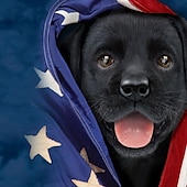 olcso Zászló minta-hazafias fekete labrador kölyök Vincent Hie férfi függetlenség napi amerikai zászlós rövid ujjú ing, limitált kiadású, designer ing