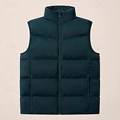 preiswerte Men&#039;s Vest-Herren Steppweste Täglich Lässig Herbst Winter Tasche Polyester Bequem Einfarbig Vorne geknöpft Stehkragen Normale Passform Schwarz Königliches Blau Dunkelgrün Hell Gray Weste