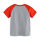 halpa T-paidat ja muut paidat-Lapset Poikien T-paita Tee Piirretty Lyhythihainen Crewneck Lasten toppi Koulu Ihana Perus Kesä Rubiini 4 vuotta +