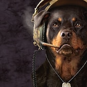 رخيصةأون الحيوانات والطيور-شورت سباحة رجالي من تصميم Sergeant Rott by Vincent Hie بتصميم حيوانات وكلاب، شورت سباحة قصير بتصميم كلاسيكي عتيق، بطانة شبكية، خصر مرن برباط، شورت مصمم، إصدار فني محدود