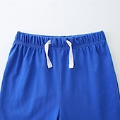 halpa Setit-2 osainen Lapset Poikien Puku T-paita ja shortsit Asu Piirretty Lyhythihainen Crewneck Aseta ulko- Muoti Perus Kesä 4 vuotta + Sininen
