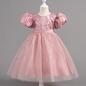 preiswerte Partykleider-Kleinkind Mädchen Partykleid Pailletten Kurzarm Hochzeit Party Netz Reißverschluss Knotenbinde Niedlich Prinzessin Polyester Knielang Paillettenkleid Partykleid Sommer Frühling Herbst 4-7 Jahre Wei