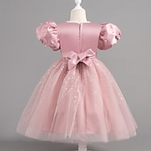 preiswerte Partykleider-Kleinkind Mädchen Partykleid Pailletten Kurzarm Hochzeit Party Netz Reißverschluss Knotenbinde Niedlich Prinzessin Polyester Knielang Paillettenkleid Partykleid Sommer Frühling Herbst 4-7 Jahre Wei