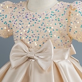 abordables Robes de fête-Tout-petit Fille Robe de Soirée Paillettes Manche Courte Mariage Soirée Paillettes Fermeture éclair Noeud de cravate Actif Adorable Polyester Mi-long Robe de Soirée Été Printemps Automne 4-7 ans