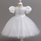 preiswerte Partykleider-Kleinkind Mädchen Partykleid Pailletten Kurzarm Hochzeit Party Netz Reißverschluss Knotenbinde Niedlich Prinzessin Polyester Knielang Paillettenkleid Partykleid Sommer Frühling Herbst 4-7 Jahre Wei