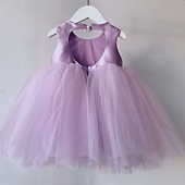 cheap Party Dresses-Kids Girls&#039; Party Dress Solid Color Sleeveless Performance Mesh Princess Sweet Mesh Mid-Calf Sheath Dress Tulle Dress Summer Spring Fall kids Pink Sky Blue Purple