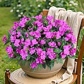 abordables Plantes et Fleurs Artificielles-Lot de 6 bouquets de fleurs artificielles d&#039;impatiens pour décoration extérieure, bouquet de fleurs en soie, fausses plantes résistantes aux UV pour jardin, véranda, jardinière, balcon, décoration