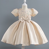 abordables Robes de fête-Tout-petit Fille Robe de Soirée Paillettes Manche Courte Mariage Soirée Paillettes Fermeture éclair Noeud de cravate Actif Adorable Polyester Mi-long Robe de Soirée Été Printemps Automne 4-7 ans