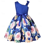 cheap Party Dresses-Kids Girls&#039; Party Dress Graphic Sleeveless Performance Special Occasion Princess Polyester Party Dress Summer Spring kids Multicolor Yellow Light Green