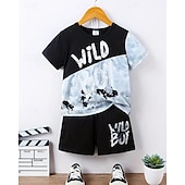 halpa Setit-2 osainen Lapset Poikien Puku T-paita ja shortsit Asu Kirjain Lyhythihainen Crewneck Aseta ulko- Urheilu Muoti Kesä 4 vuotta + Musta Valkoinen Rubiini
