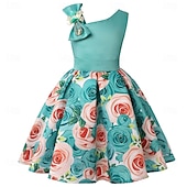 cheap Party Dresses-Kids Girls&#039; Party Dress Graphic Sleeveless Performance Special Occasion Princess Polyester Party Dress Summer Spring kids Multicolor Yellow Light Green
