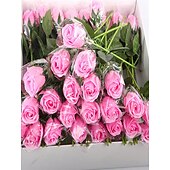 preiswerte Künstliche Pflanzen &amp; Blumen-einzelne künstliche Seifenblume in einem kreativen transparenten Geschenkbeutel, ideal als Geschenk zu Weihnachten, zum Muttertag, zum Geburtstag, zur Hochzeit, zum Valentinstag, zum Jahrestag, zum