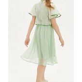cheap Dresses-Kids Girls&#039; Dress Solid Color Short Sleeve Outdoor Mesh Patchwork Adorable Polyester Knee-length Casual Dress Summer 4 years+ Green
