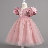 preiswerte Partykleider-Kleinkind Mädchen Partykleid Pailletten Kurzarm Hochzeit Party Netz Reißverschluss Knotenbinde Niedlich Prinzessin Polyester Knielang Paillettenkleid Partykleid Sommer Frühling Herbst 4-7 Jahre Wei