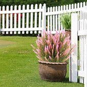 olcso Műnövények és virágok-műlevendula virág, műanyag modern kortárs szabálytalan asztali virágdekoráció, egyedi design otthoni irodába, stílusos műnövény kompozíció