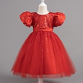 preiswerte Partykleider-Kleinkind Mädchen Partykleid Pailletten Kurzarm Hochzeit Party Netz Reißverschluss Knotenbinde Niedlich Prinzessin Polyester Knielang Paillettenkleid Partykleid Sommer Frühling Herbst 4-7 Jahre Wei