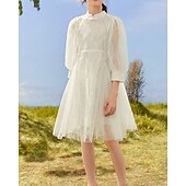 cheap Dresses-Kids Girls&#039; Dress Solid Color Long Sleeve Outdoor Ruched Mesh Adorable Nylon Knee-length Casual Dress Summer 4 years+ Beige