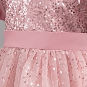 preiswerte Partykleider-Kleinkind Mädchen Partykleid Pailletten Kurzarm Hochzeit Party Netz Reißverschluss Knotenbinde Niedlich Prinzessin Polyester Knielang Paillettenkleid Partykleid Sommer Frühling Herbst 4-7 Jahre Wei