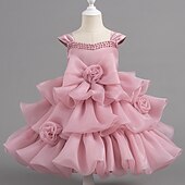 levne Párty šaty-Děti Dívčí Šaty na párty Pevná barva Bez rukávů Svatební Narozeniny Nabírané šaty Zip Kravatový uzel Rozkošný Sladký Polyester Délka ke kolenům Šaty na párty Léto Jaro Podzim Děti Bílá Světlá růžov