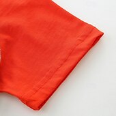 halpa T-paidat ja muut paidat-Lapset Poikien T-paita Tee Piirretty Lyhythihainen Crewneck Lasten toppi Koulu Ihana Perus Kesä Rubiini 4 vuotta +