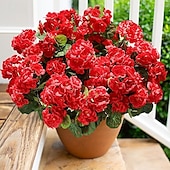 abordables Plantas y Flores Artificiales-6 paquetes de flores artificiales de geranio para decoración al aire libre (maceta no incluida), flores de geranios de seda con aspecto resistente a los rayos UV, plantas artificiales reales para puerta de entrada, jardín, porche, jardinera, patio, balcón