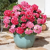abordables Plantas y Flores Artificiales-6 paquetes de flores artificiales de geranio para decoración al aire libre (maceta no incluida), flores de geranios de seda con aspecto resistente a los rayos UV, plantas artificiales reales para puerta de entrada, jardín, porche, jardinera, patio, balcón