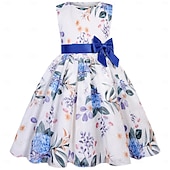cheap Party Dresses-Kids Girls&#039; Party Dress Graphic Sleeveless Short Sleeve Performance Special Occasion Princess Polyester Party Dress Summer Spring kids Pink Blue Purple