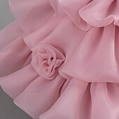 levne Párty šaty-Děti Dívčí Šaty na párty Pevná barva Bez rukávů Svatební Narozeniny Nabírané šaty Zip Kravatový uzel Rozkošný Sladký Polyester Délka ke kolenům Šaty na párty Léto Jaro Podzim Děti Bílá Světlá růžov