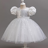 preiswerte Partykleider-Kleinkind Mädchen Partykleid Pailletten Kurzarm Hochzeit Party Netz Reißverschluss Knotenbinde Niedlich Prinzessin Polyester Knielang Paillettenkleid Partykleid Sommer Frühling Herbst 4-7 Jahre Wei