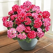 abordables Plantas y Flores Artificiales-6 paquetes de flores artificiales de geranio para decoración al aire libre (maceta no incluida), flores de geranios de seda con aspecto resistente a los rayos UV, plantas artificiales reales para puerta de entrada, jardín, porche, jardinera, patio, balcón