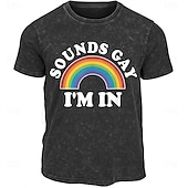 abordables Camiseta gráfica para hombres-Mes del Orgullo Hombre Arco iris camiseta Camisa lavada Algodón Manga Corta Gráfico Camisa Negro Camiseta cómoda Calle Diario Ropa de diseñador de moda