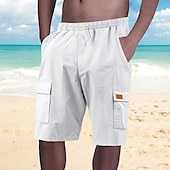 economico Vacanza-Per uomo Shorts Shorts di Lino Pantaloncini Estivi Shorts da Spiaggia Coulisse Elastico in vita Multi-tasche Semplice Comodità Traspirante Lunghezza al ginocchio All&#039;aperto Quotidiano Spiaggia
