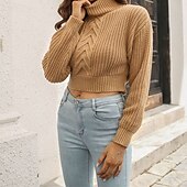 cheap Plain Pullover-Women&#039;s Pullover Casual Solid Color Chunky Turtleneck Knitted Long Sleeve Crop Tops Knit Daily Holiday Going out Brown Green Fall Winter