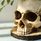 economico Halloween-fioriera scheletro chic - costruzione in poliresina resistente e impermeabile, versatile per interni &amp;decorazioni per esterni con piante, fiori e caramelle perfette per un Halloween spettrale e una