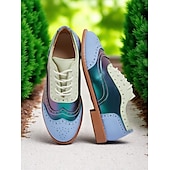 economico Anni &amp;#39;50-Scarpe Oxford da donna con punta a coda di rondine e motivo color block, brogues stringate retrò anni &#039;50 con pannelli iridescenti per uscite casual e street style di ispirazione vintage