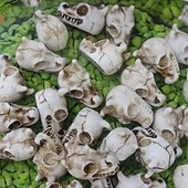 Недорогие Хэллоуинские висячие и настольные украшения-20 шт. мини-голов черепов на Хэллоуин для наполнения ваз, крошечные скелеты драконов из смолы для суккулентного кашпо, жуткий готический декор для вечеринки в доме с привидениями