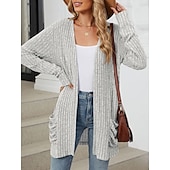 abordables Cardigans et vêtements d&#039;extérieur-Femmes Pull Cardigan Élégant Mode Streetwear Couleur Unie Ouvert devant Avec Poches Tricoté manche longue Hauts Réguliers Tricoter Extérieur Quotidien Week-end Rose Claire Bleu Automne Hiver