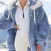 levne Sherpa bundy-Dámské Zimní kabát Fleecová bunda Zahřívací Pohodlné Zip Kožešinový límec Módní Venkovní Pevná barva Běžné / Denní Víkend Zip Standardní Kapuce Běžný Dlouhý rukáv Svrchní oděvy Fialová Vodní modr